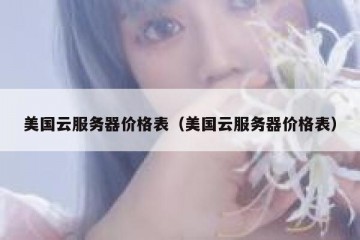 美国云服务器价格表（美国云服务器价格表）