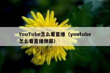 YouTube怎么看直播（youtube怎么看直播弹幕）