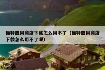 推特应用商店下载怎么用不了（推特应用商店下载怎么用不了呢）