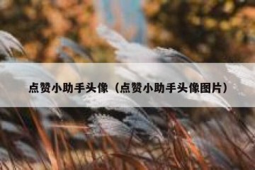 点赞小助手头像（点赞小助手头像图片）