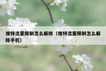 推特流量限制怎么解除（推特流量限制怎么解除手机）