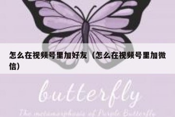 怎么在视频号里加好友（怎么在视频号里加微信）