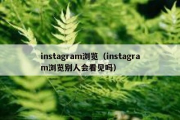 instagram浏览（instagram浏览别人会看见吗）