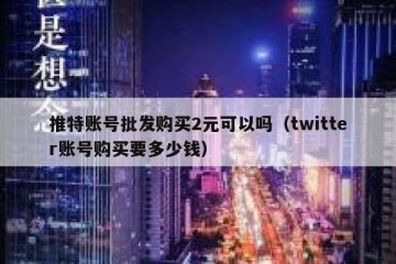 推特账号批发购买2元可以吗（twitter账号购买要多少钱）