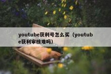 youtube获利号怎么买（youtube获利审核难吗）