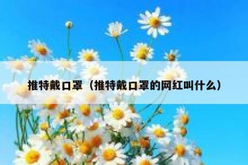 推特戴口罩（推特戴口罩的网红叫什么）