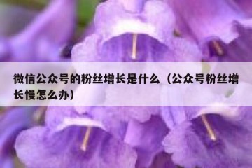 微信公众号的粉丝增长是什么（公众号粉丝增长慢怎么办）