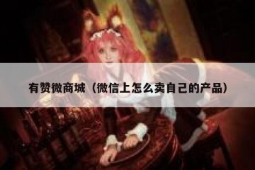 有赞微商城（微信上怎么卖自己的产品）