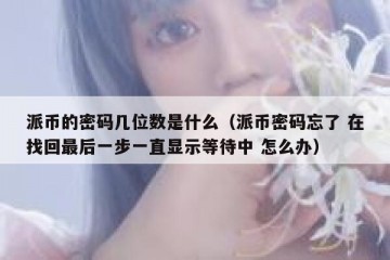 派币的密码几位数是什么（派币密码忘了 在找回最后一步一直显示等待中 怎么办）