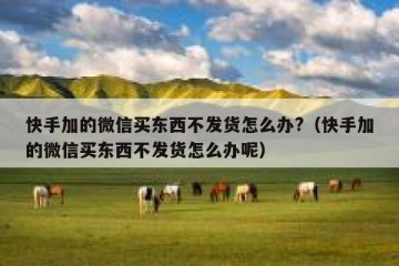 快手加的微信买东西不发货怎么办?（快手加的微信买东西不发货怎么办呢）