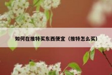 如何在推特买东西便宜（推特怎么买）