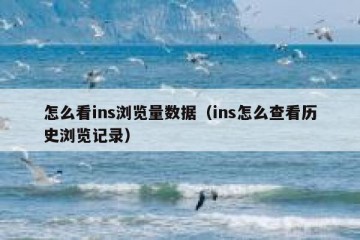 怎么看ins浏览量数据（ins怎么查看历史浏览记录）