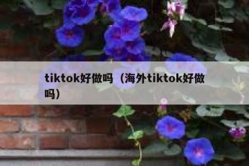 tiktok好做吗（海外tiktok好做吗）