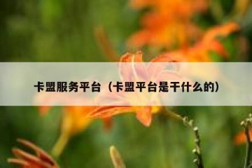 卡盟服务平台（卡盟平台是干什么的）
