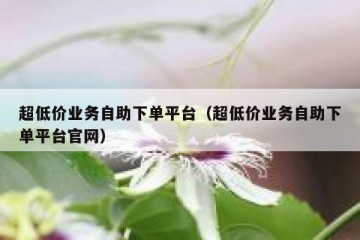 超低价业务自助下单平台（超低价业务自助下单平台官网）