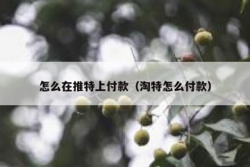 怎么在推特上付款（淘特怎么付款）