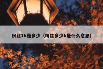 粉丝1k是多少（粉丝多少k是什么意思）