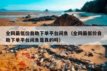 全网最低价自助下单平台闲鱼（全网最低价自助下单平台闲鱼是真的吗）