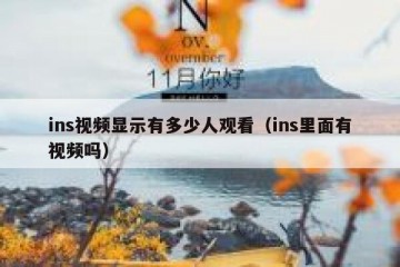 ins视频显示有多少人观看（ins里面有视频吗）