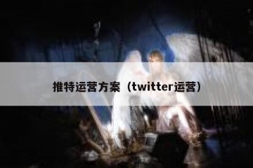 推特运营方案（twitter运营）