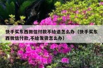 快手买东西微信付款不给退怎么办（快手买东西微信付款,不给发货怎么办）