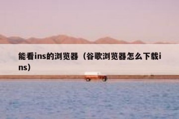 能看ins的浏览器（谷歌浏览器怎么下载ins）