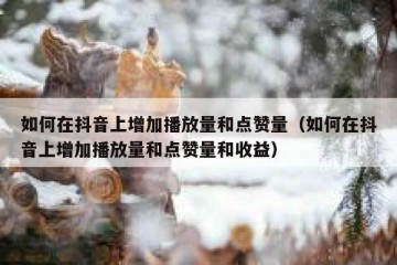 如何在抖音上增加播放量和点赞量（如何在抖音上增加播放量和点赞量和收益）