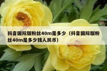 抖音国际版粉丝40m是多少（抖音国际版粉丝40m是多少钱人民币）