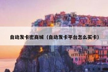 自动发卡密商城（自动发卡平台怎么买卡）