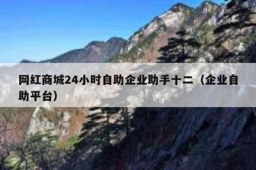网红商城24小时自助企业助手十二（企业自助平台）