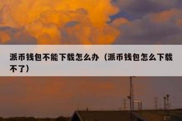 派币钱包不能下载怎么办（派币钱包怎么下载不了）