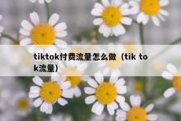 tiktok付费流量怎么做（tik tok流量）