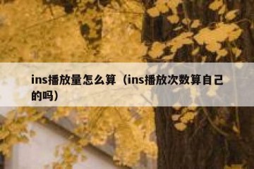 ins播放量怎么算（ins播放次数算自己的吗）