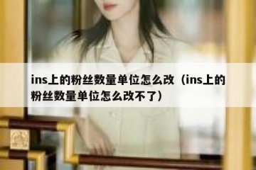ins上的粉丝数量单位怎么改（ins上的粉丝数量单位怎么改不了）