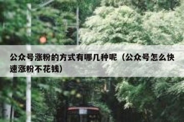 公众号涨粉的方式有哪几种呢（公众号怎么快速涨粉不花钱）