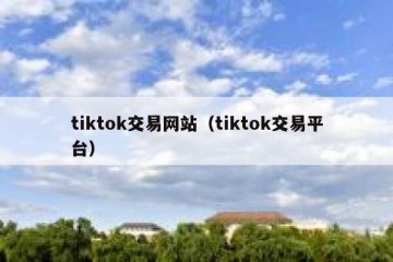 tiktok交易网站（tiktok交易平台）