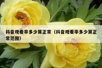 抖音观看率多少算正常（抖音观看率多少算正常范围）