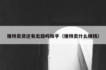 推特卖货还有出路吗知乎（推特卖什么赚钱）