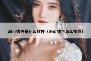 派币钱包是什么软件（派币钱包怎么操作）