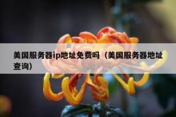 美国服务器ip地址免费吗（美国服务器地址查询）