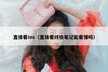 直接看ins（直接看终极笔记能看懂吗）