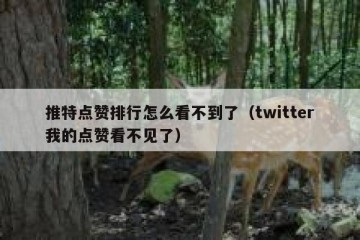 推特点赞排行怎么看不到了（twitter我的点赞看不见了）