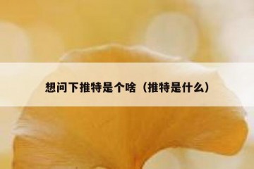 想问下推特是个啥（推特是什么）