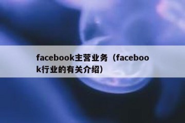 facebook主营业务（facebook行业的有关介绍）