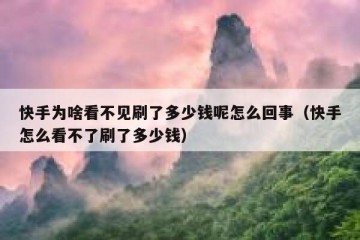 快手为啥看不见刷了多少钱呢怎么回事（快手怎么看不了刷了多少钱）