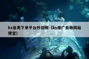 ks业务下单平台秒到账（ks推广自助网站便宜）