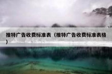 推特广告收费标准表（推特广告收费标准表格）