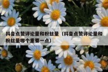 抖音点赞评论量和粉丝量（抖音点赞评论量和粉丝量哪个重要一点）