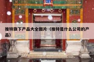 推特旗下产品大全图片（推特是什么公司的产品）