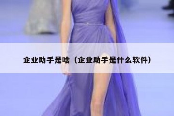 企业助手是啥（企业助手是什么软件）